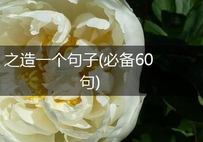 之造一个句子(必备60句)