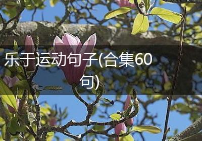 乐于运动句子(合集60句)