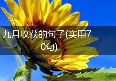 九月收获的句子(实用70句)