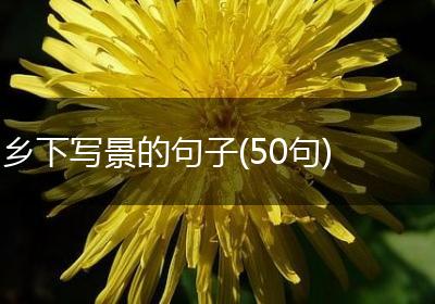 乡下写景的句子(50句)