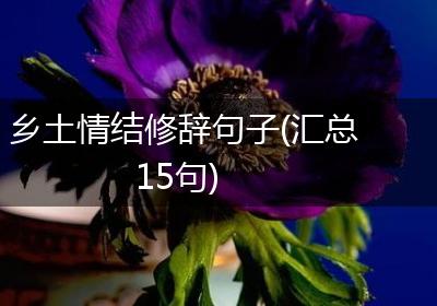 乡土情结修辞句子(汇总15句)