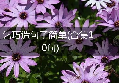乞巧造句子简单(合集10句)