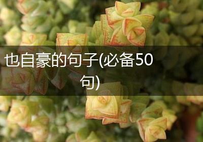 也自豪的句子(必备50句)