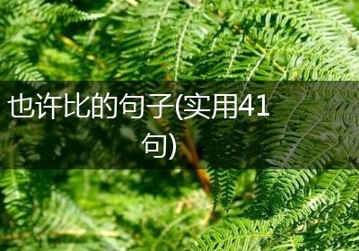 也许比的句子(实用41句)