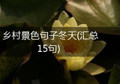 乡村景色句子冬天(汇总15句)