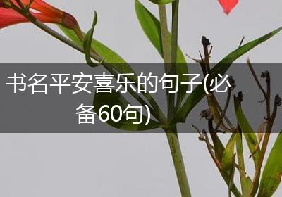 书名平安喜乐的句子(必备60句)