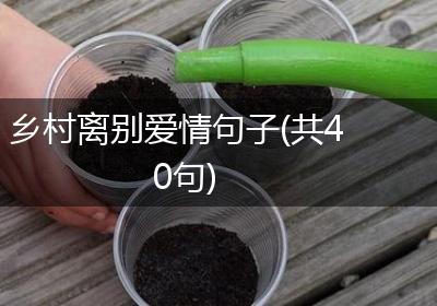 乡村离别爱情句子(共40句)