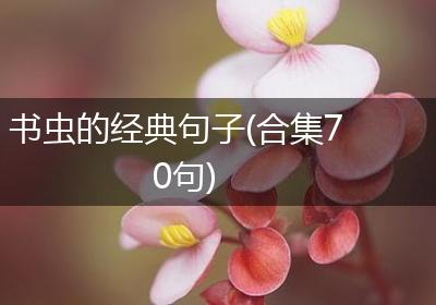 书虫的经典句子(合集70句)