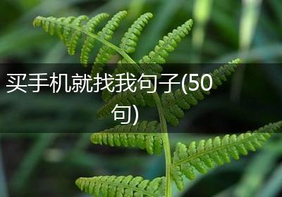 买手机就找我句子(50句)