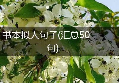 书本拟人句子(汇总50句)