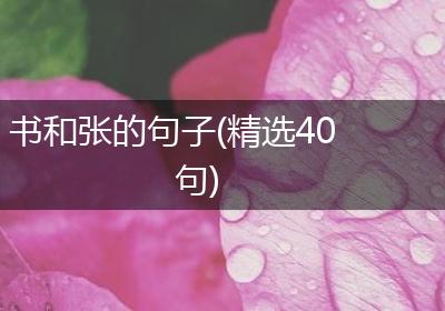 书和张的句子(精选40句)