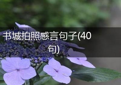 书城拍照感言句子(40句)