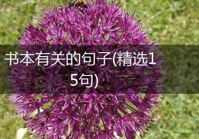 书本有关的句子(精选15句)