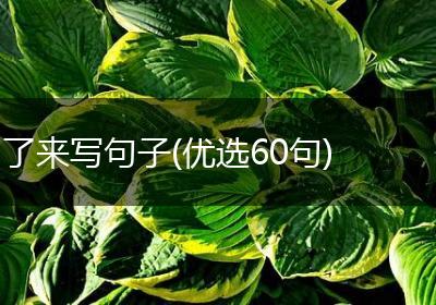 了来写句子(优选60句)