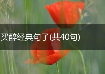 买醉经典句子(共40句)