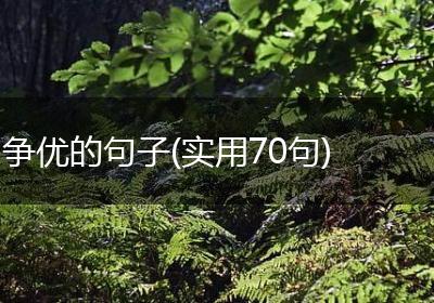 争优的句子(实用70句)