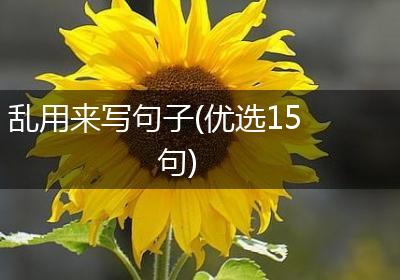 乱用来写句子(优选15句)