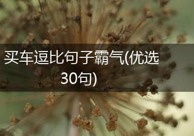 买车逗比句子霸气(优选30句)