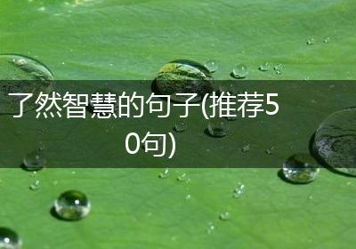 了然智慧的句子(推荐50句)