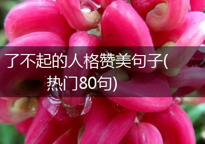 了不起的人格赞美句子(热门80句)