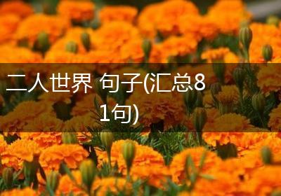 二人世界 句子(汇总81句)