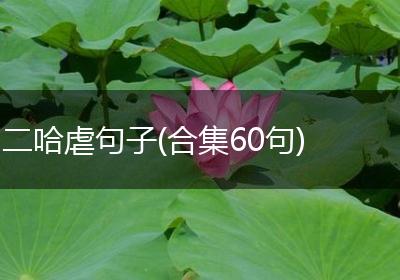 二哈虐句子(合集60句)