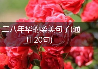二八年华的柔美句子(通用20句)