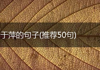 于萍的句子(推荐50句)