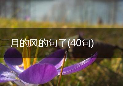 二月的风的句子(40句)