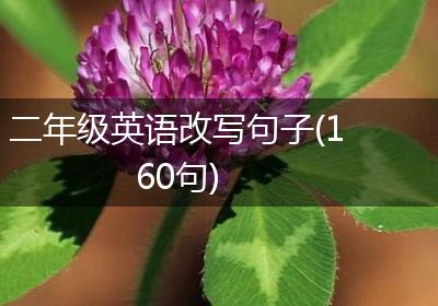 二年级英语改写句子(160句)