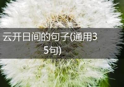 云开日间的句子(通用35句)