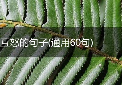 互怒的句子(通用60句)