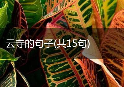 云寺的句子(共15句)