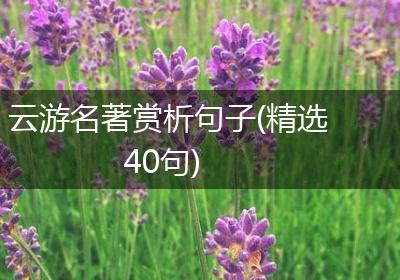 云游名著赏析句子(精选40句)
