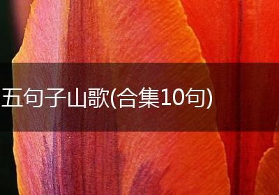 五句子山歌(合集10句)