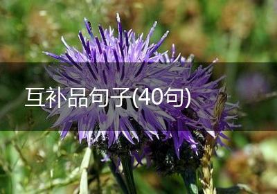 互补品句子(40句)
