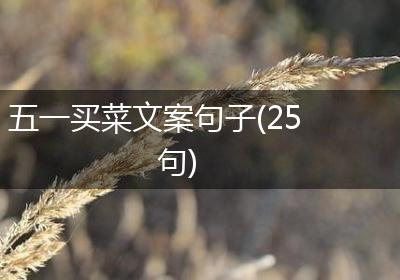 五一买菜文案句子(25句)
