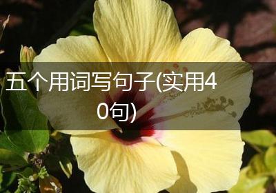五个用词写句子(实用40句)