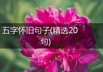 五字怀旧句子(精选20句)
