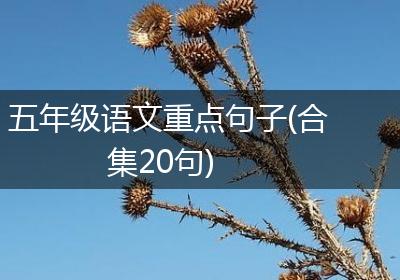 五年级语文重点句子(合集20句)