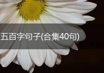 五百字句子(合集40句)