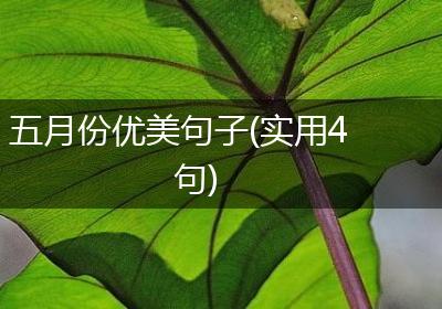 五月份优美句子(实用4句)