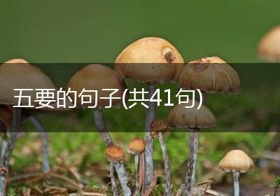 五要的句子(共41句)