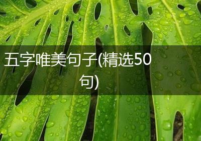 五字唯美句子(精选50句)