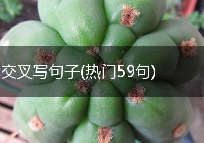 交叉写句子(热门59句)