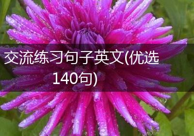 交流练习句子英文(优选140句)