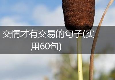 交情才有交易的句子(实用60句)