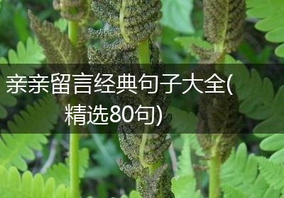 亲亲留言经典句子大全(精选80句)