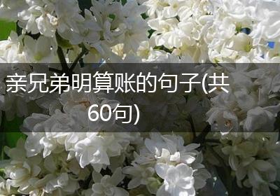 亲兄弟明算账的句子(共60句)