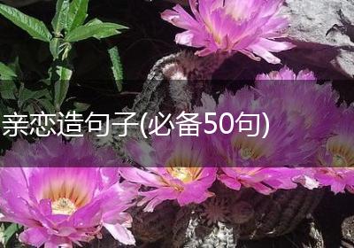 亲恋造句子(必备50句)